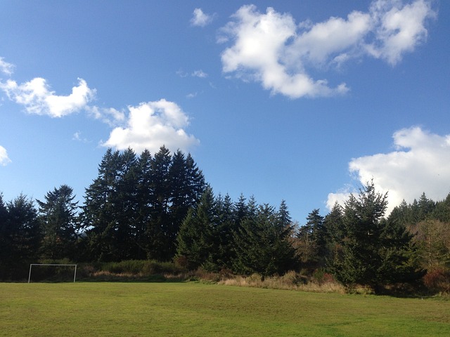 的视野